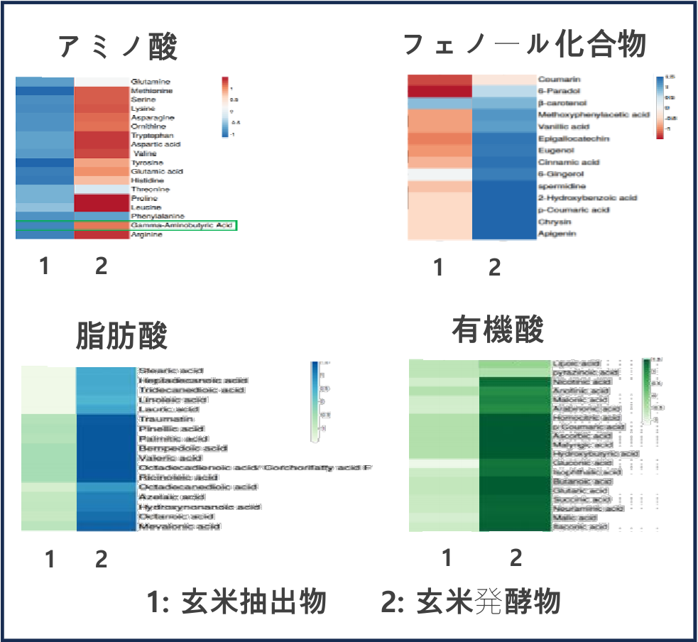 研究結果