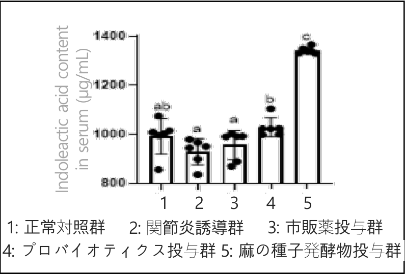 研究結果 4