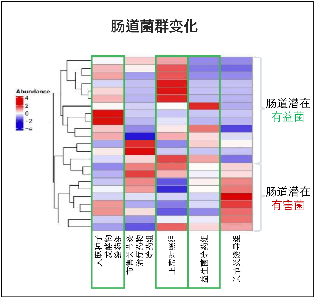 研究结果 5-1